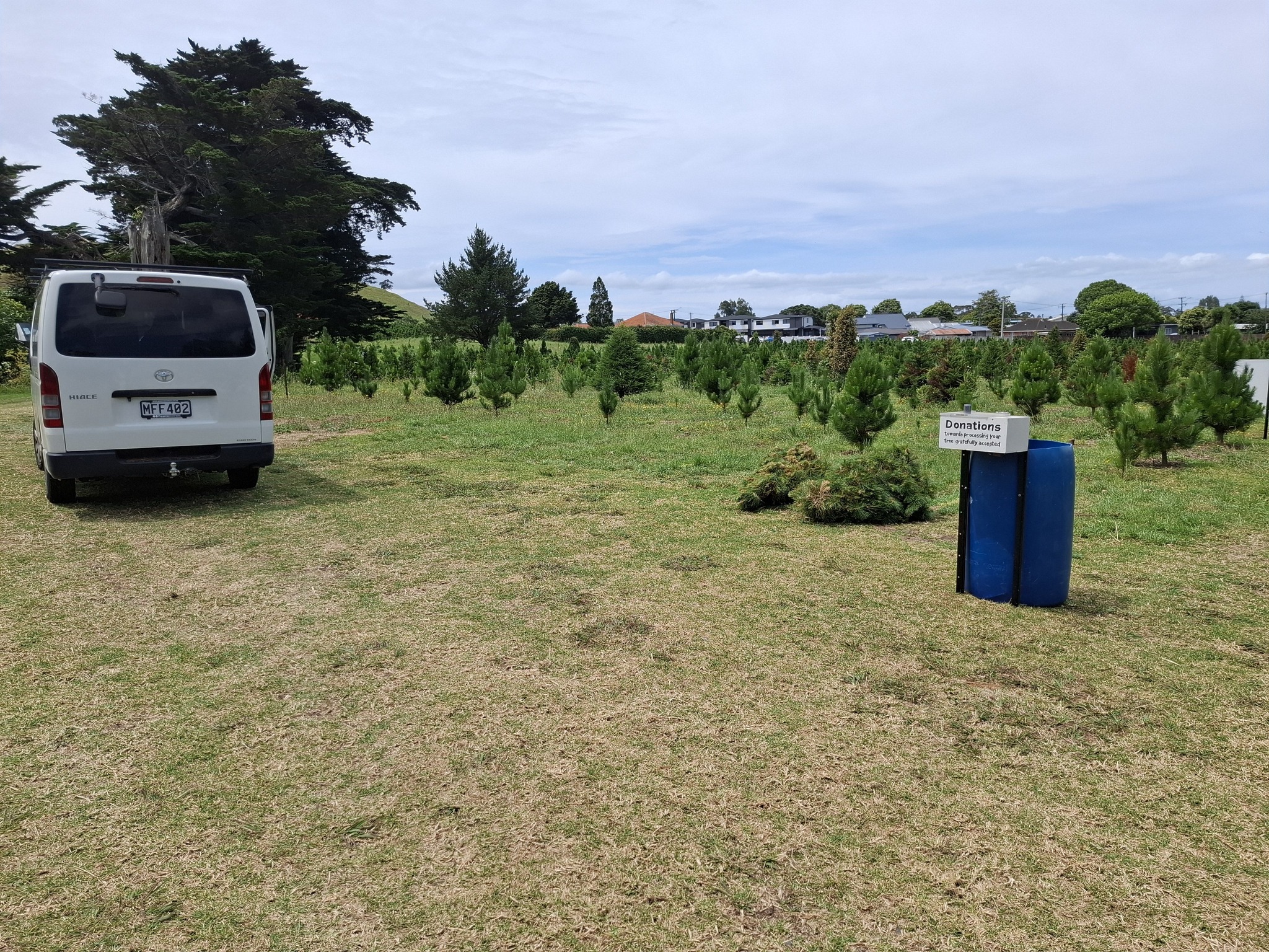 Tree recycling
